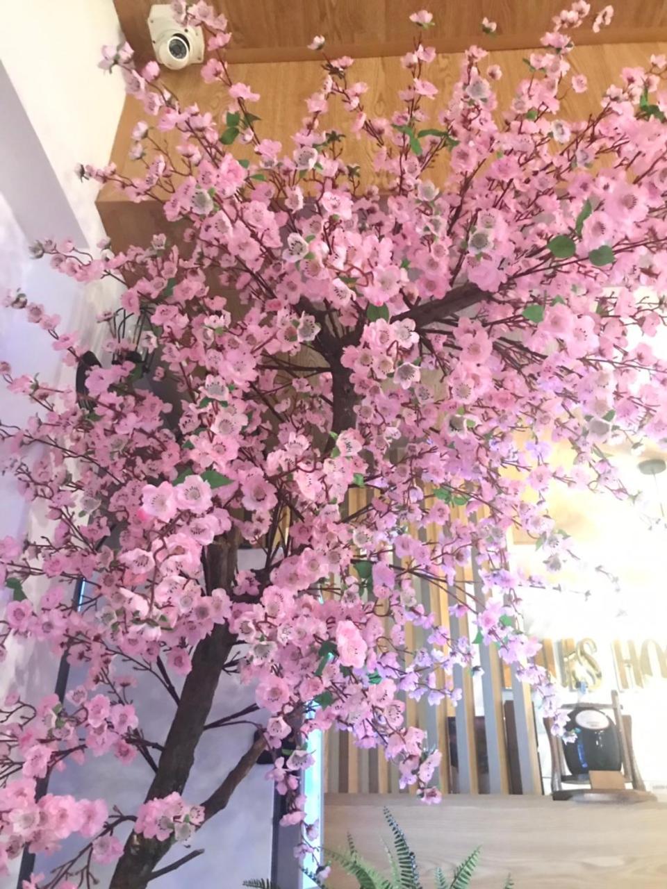 Louis Hotel - Bui Vien Walking Street Ho Chi Minh Zewnętrze zdjęcie
